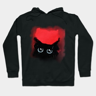 Acrylic cat Hoodie